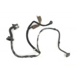 Chicote Porta Traseiro Esquerdo Nissan Sentra 2015