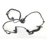 Chicote Porta Traseira Esquerda Audi Q3 1.4 8u0971687g