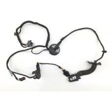 Chicote Porta Traseira Esquerda Audi Q3 1.4 8u0971687g