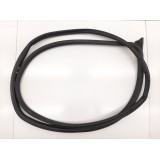 Borracha Fixa Porta Dianteira Esquerda Ford Ecosport