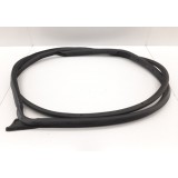 Borracha Fixa Porta Dianteira Direita Ford Ecosport