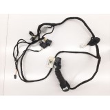 Chicote Porta Dianteira Direita Ford Ecosport Gn1514630ae