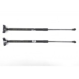 Par Amortecedor Tampa Traseira Mitsubishi Outlander 2015