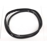 Borracha Fixa Orig. Porta Tras. Esquerda Ford Ecosport 1.5