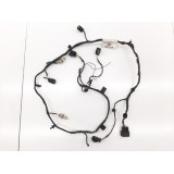 Chicote Parachoque Traseiro Ford Ecosport 1.5 Gn15-15k868-ac