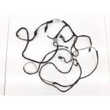 Chicote Teto Ford Ecosport 1.5 Gn15-14335-ae