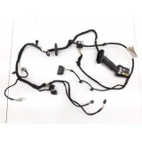 Chicote Porta Diant. Direita Ford Ecosport 1.5 Gn15-14630-ae