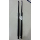 Amortecedor Capo Tampa Rav4 2015