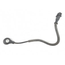 Sensor Detonação Renegade Aut. 1.8 55223460