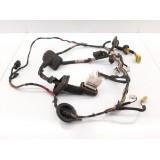 Chicote Porta Dianteira Esquerda Hyundai Vera Cruz 2010