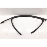 Borracha Guarnição Porta Dianteira Esquerda Audi Q3 1.4 2018