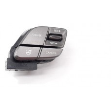 Botão Volante Piloto Automático Santa Fé 3.3