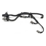 Chicote Injeção Santa Fé 3.3