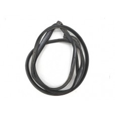 Borracha Fixa Porta Traseira Esquerda Ford Fusion 2.0