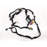 Chicote Porta Dianteira Esquerda C4 Picasso 16