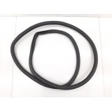 Borracha Carroceria Porta Traseira Esquerda Toro 4x4 Diesel